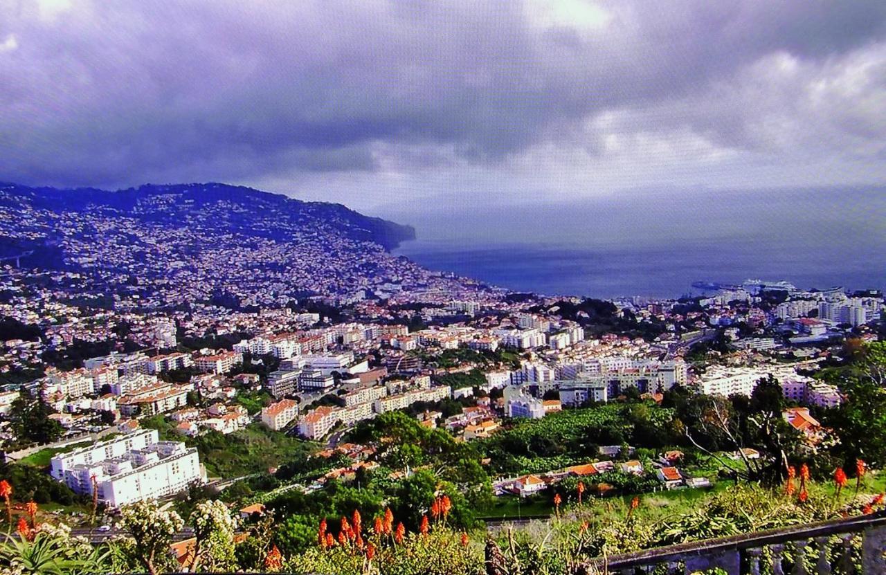 Apartment - The Historical Center Of Funchal In Alojamento Local Exteriör bild