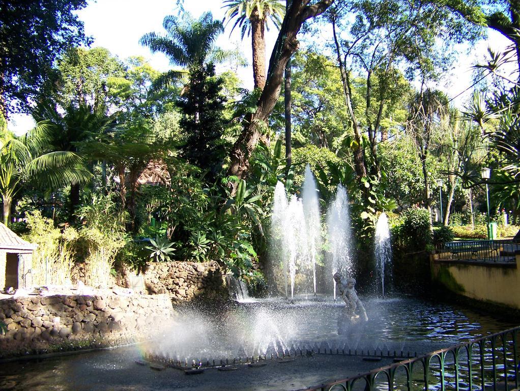 Apartment - The Historical Center Of Funchal In Alojamento Local Exteriör bild