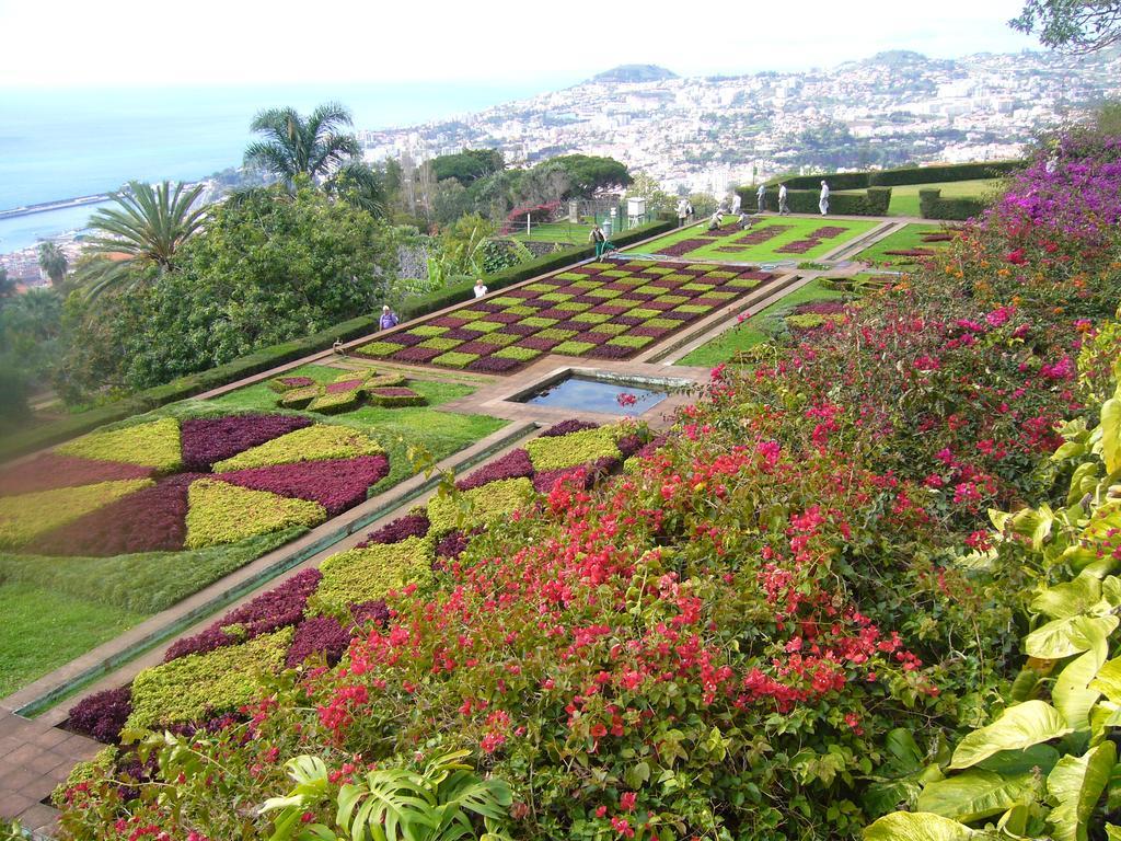 Apartment - The Historical Center Of Funchal In Alojamento Local Exteriör bild