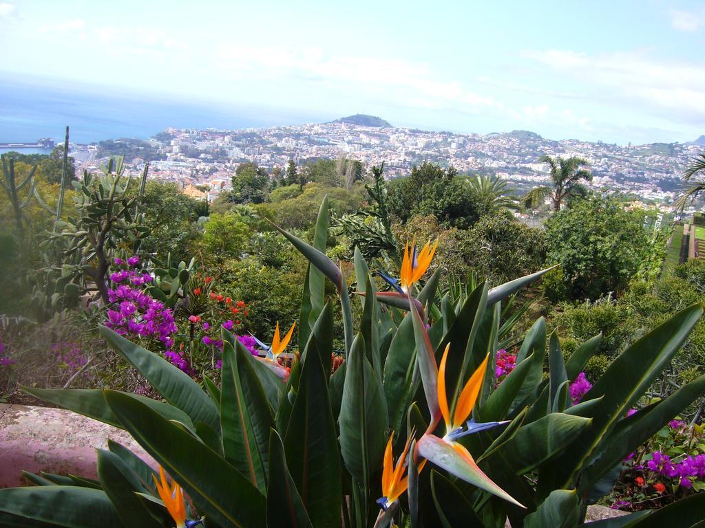 Apartment - The Historical Center Of Funchal In Alojamento Local Exteriör bild