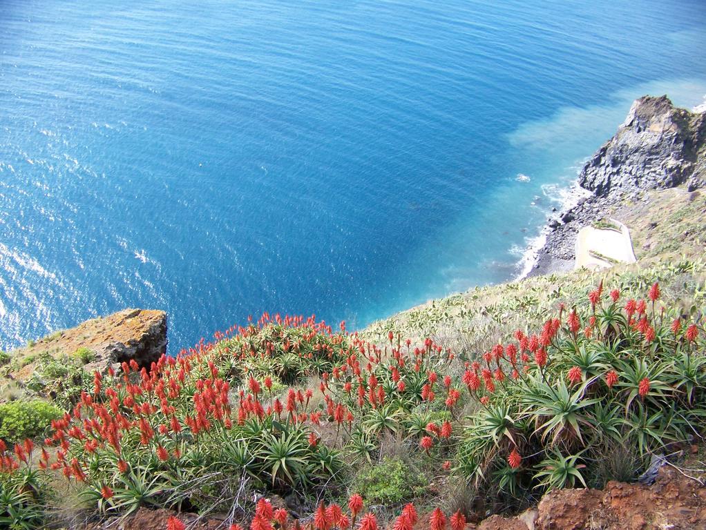 Apartment - The Historical Center Of Funchal In Alojamento Local Exteriör bild