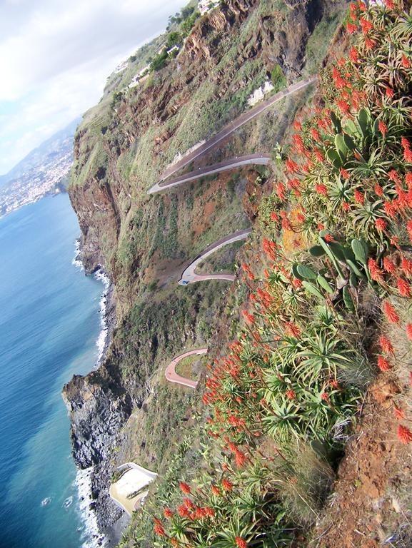 Apartment - The Historical Center Of Funchal In Alojamento Local Exteriör bild