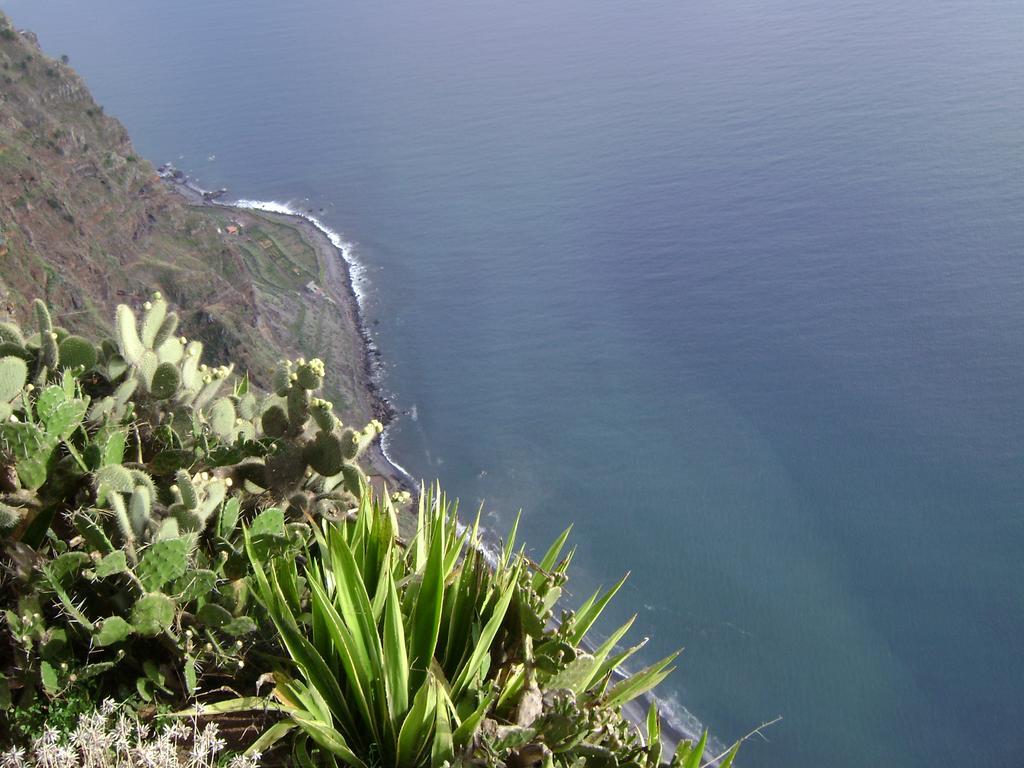 Apartment - The Historical Center Of Funchal In Alojamento Local Exteriör bild